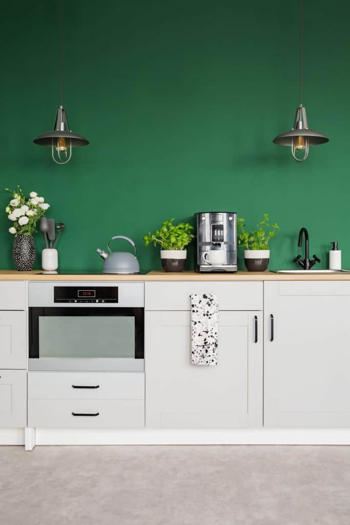 A green wall kitchen area with white paneled cabinets, dangling lamps, and indoor plants on the countertop