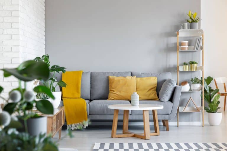 A living room with a gray sectional sofa with yellow throw pillows, a round white coffee table, and indoor plants all over the room, 15 Gorgeous Gray Wall Paint Ideas By Room