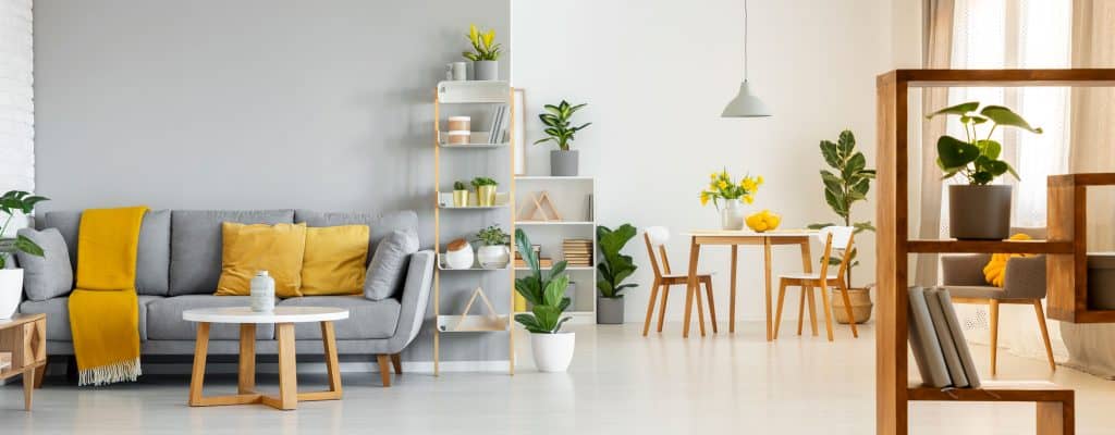 A panoramic photo of an interior of gray and mustard combined living room with wooden chaiirs and dividers added with indoor plants all over the room
