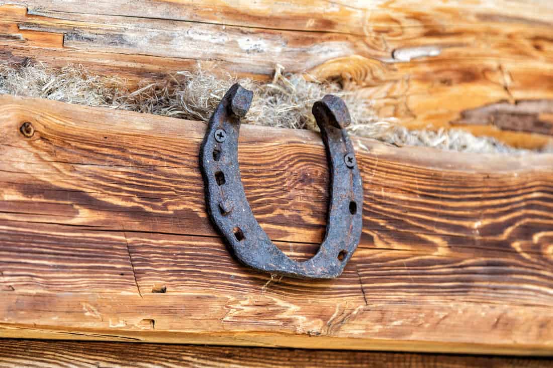A rusted out horseshoe screwed up on a wooden wall