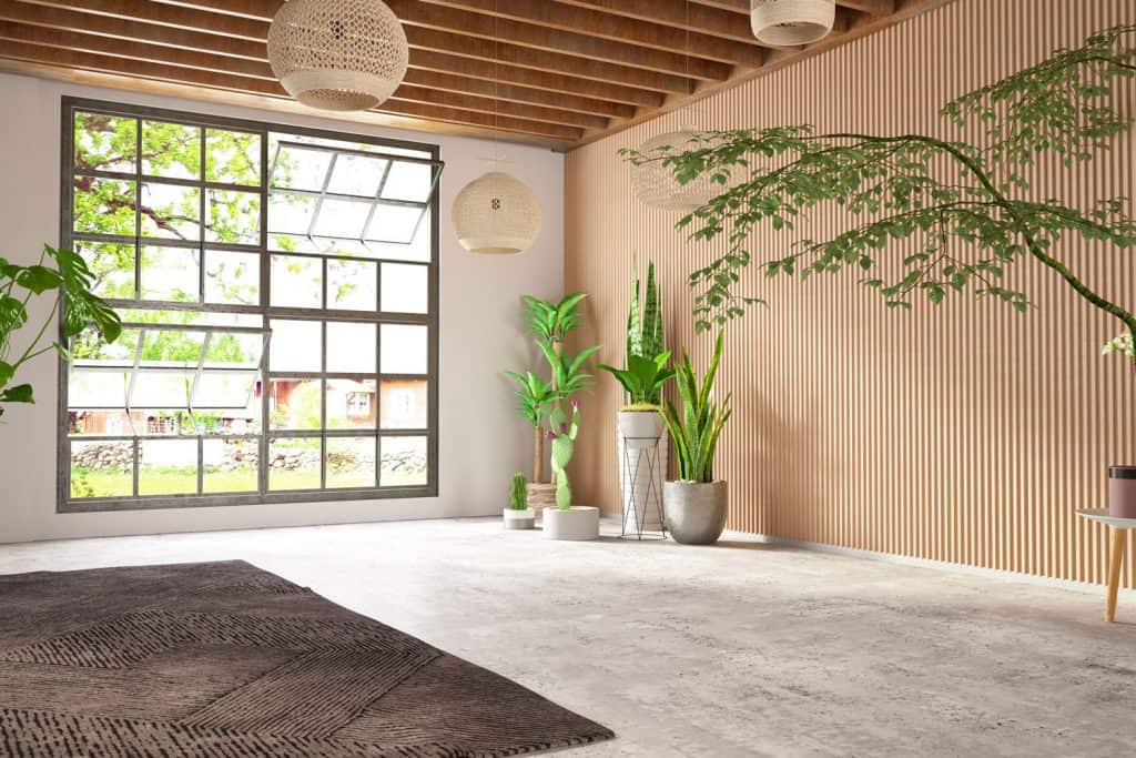 A spacious contemporary living room with a decorative wall design, indoor plants and trees, and a huge metal framed window on the background