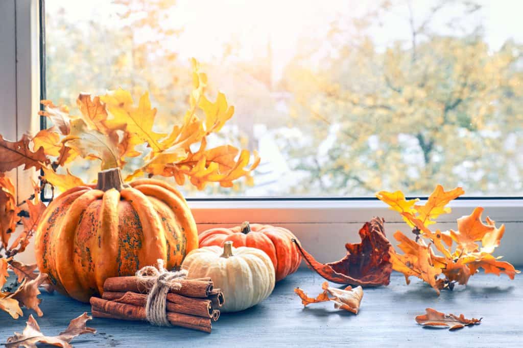 A window decorated with pumpkins, cinnamon rolls, and maple leaves