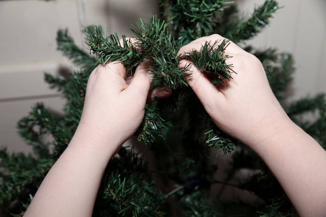 An up close photo of a woman shaping the limbs of her Christmas tree, How To Fluff A Christmas Tree