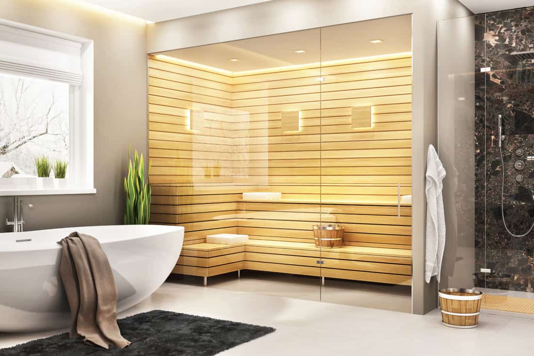 Belle salle de bain avec baignoire blanche et sauna et douche dans une maison moderne