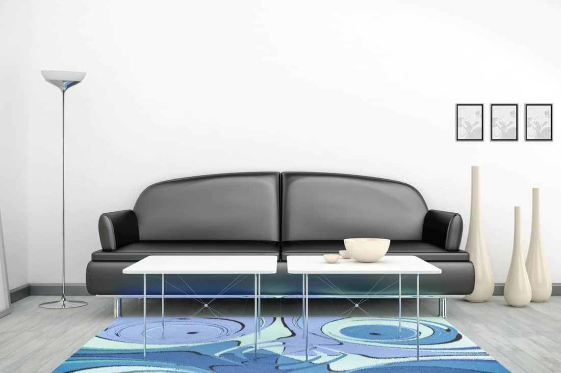 Black Leather Sofa With Blue Rug