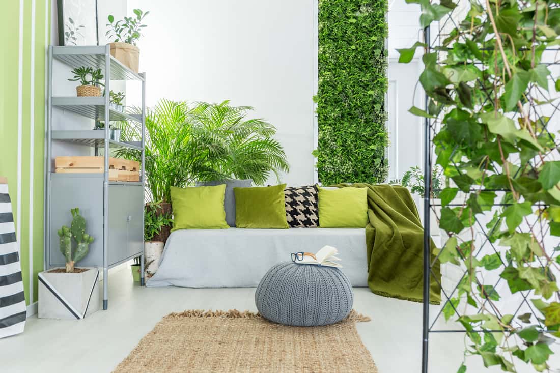 Botanical living room with grey sofa, green pillows and bookcase