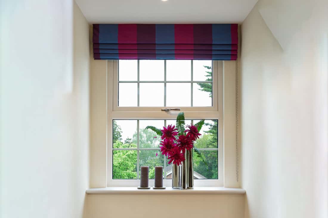 Bright window with blinds and red flowers