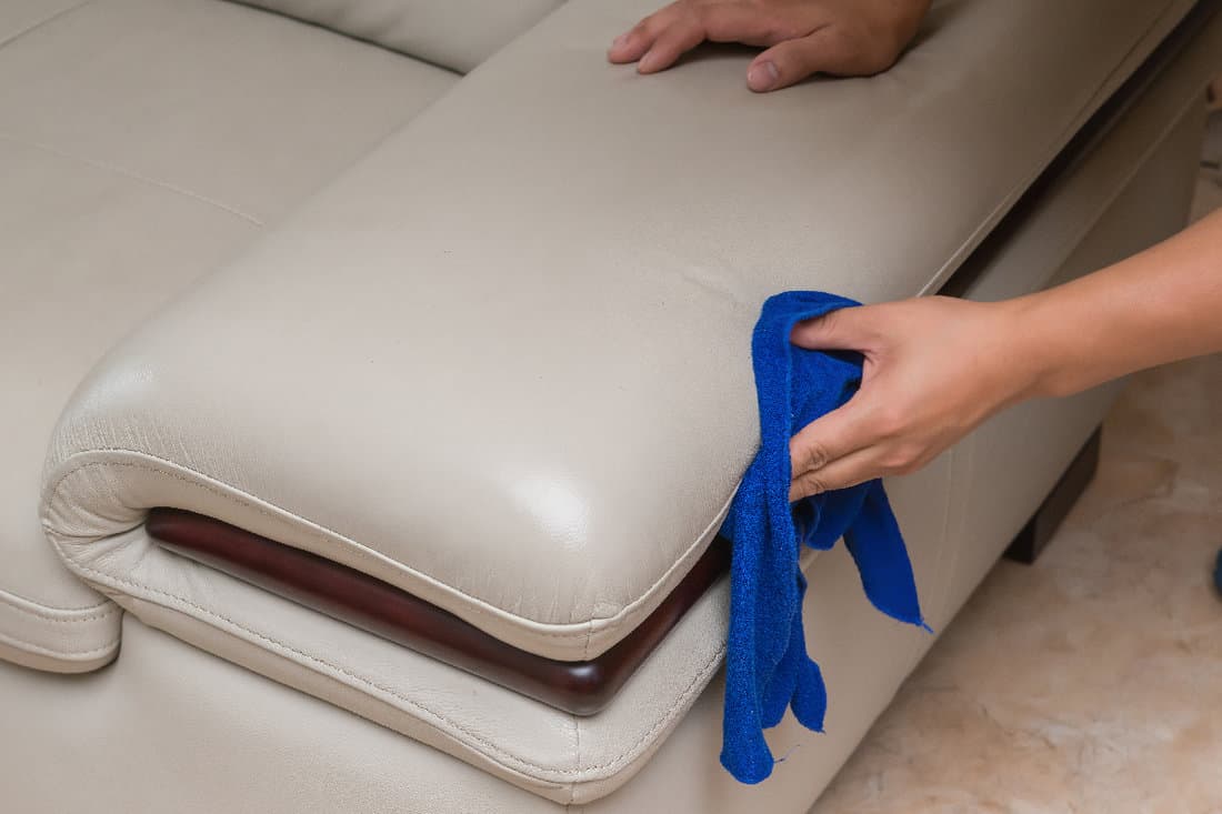 Cleaning leather sofa with towel