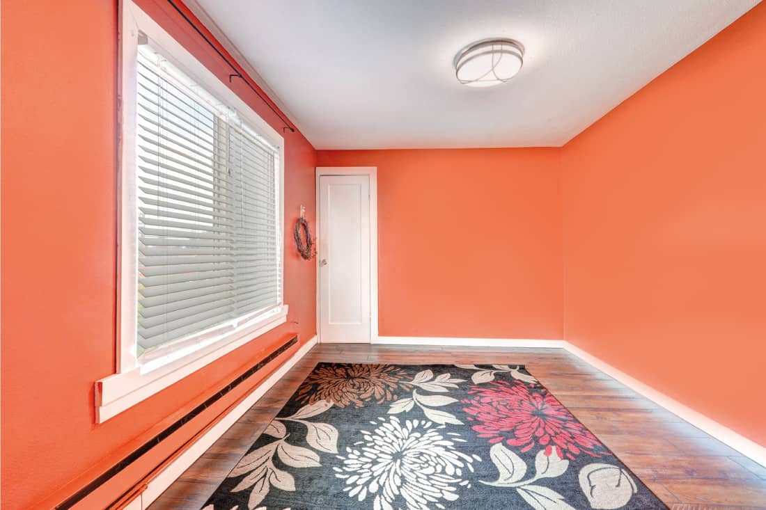Empty bright red room with colorful rug