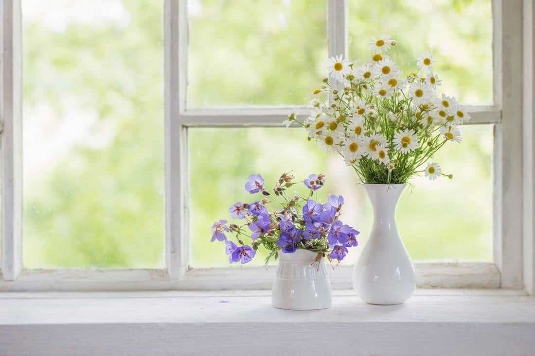 Flowers in vases on windowsill