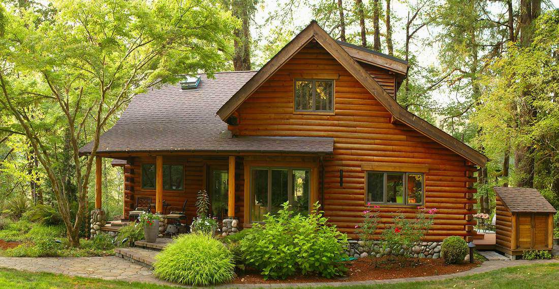 Forest modern log cabin