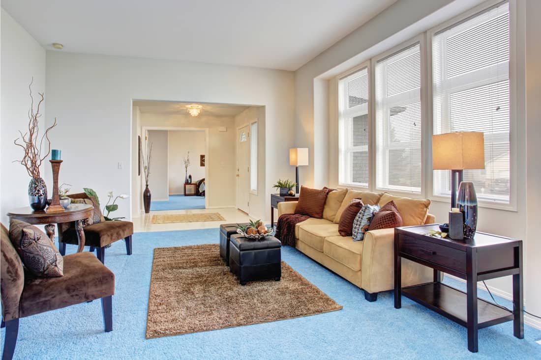 Georgous living room with bright blue carpet. Tan Or Beige Sofa With Blue Carpet