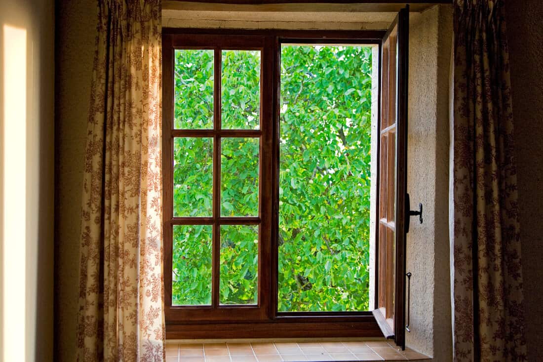 Look through the window at the green tree.