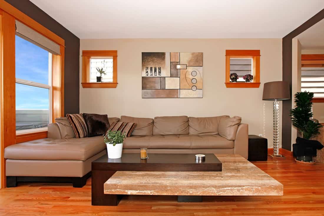 Modern living room interior with leather sofa with artwork