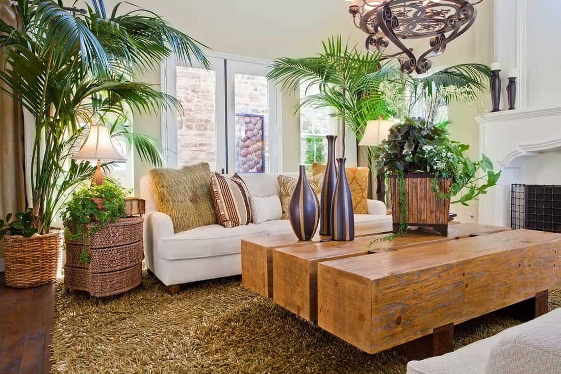 Overview of natural nature themed living room