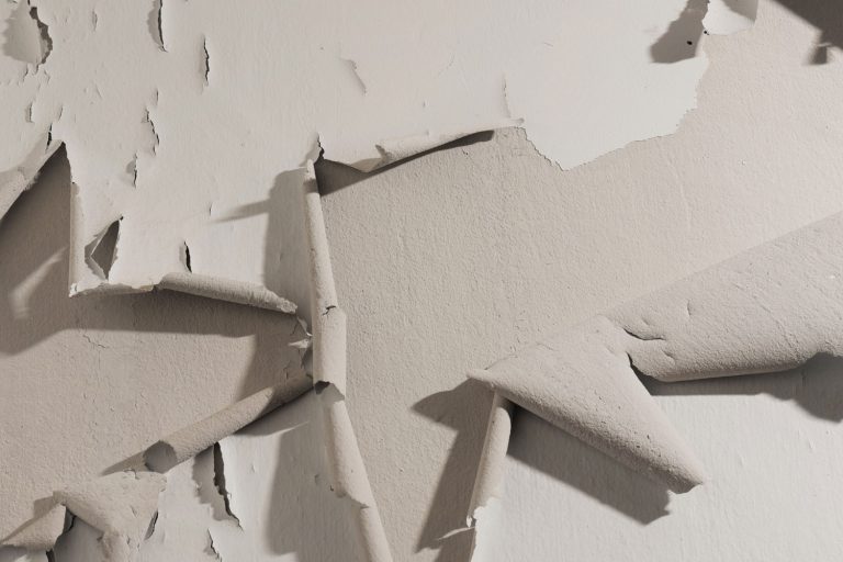 How To Fix Paint That Ripped Off The Wall [9 Steps], How To Fix Paint That Ripped Off The Wall [9 Steps]