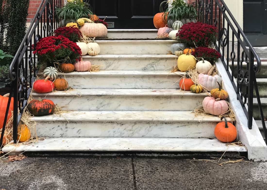 Pumpkins and gourds lined up along marble steps
