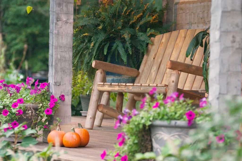 Pumpkins and petunias surround a double rocker made of smooth logs on the front porch of a rustic cabin at dusk
