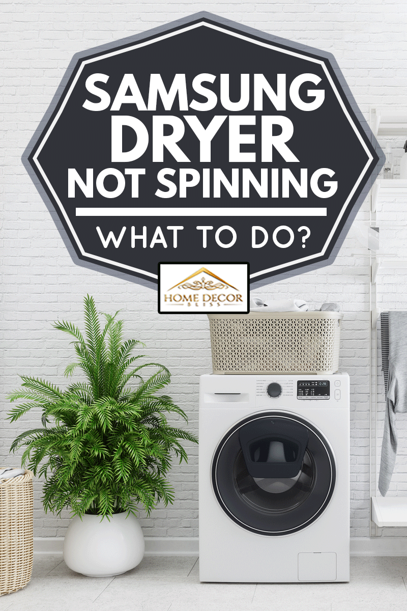 Laundry room with dryer and plants, Samsung Dryer Not Spinning - What To Do?