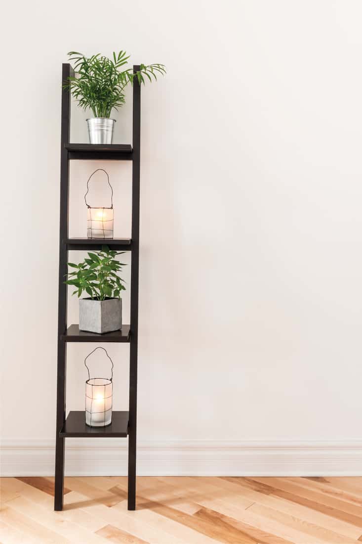 Shelf with plants and lanterns. Placing Pots In Adequate Light
