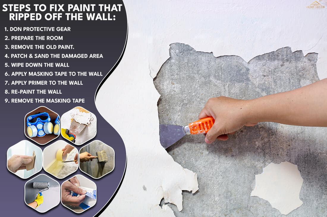 Steps To Fix Paint That Ripped Off The Wall