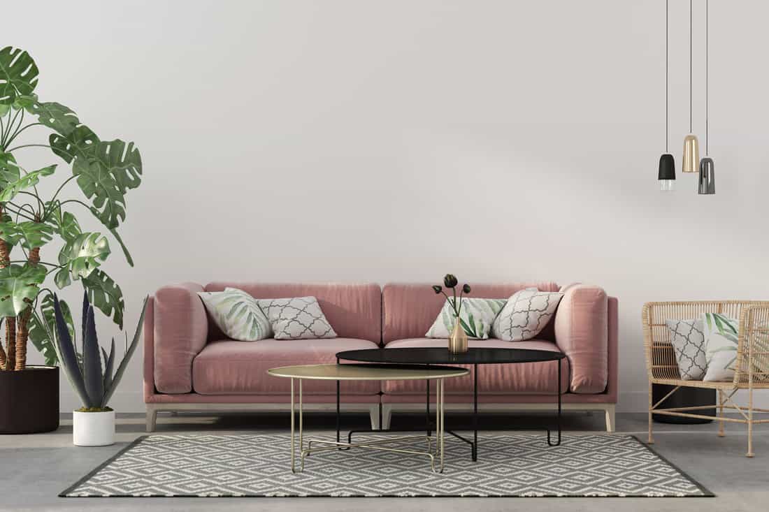 Stylish living room interior in pink with a concrete floor, velvet sofa, wicker chair, golden table, chandeliers and tropical plants in grey floors, What Color Couch Goes With Grey Floors? [A Complete Guide]