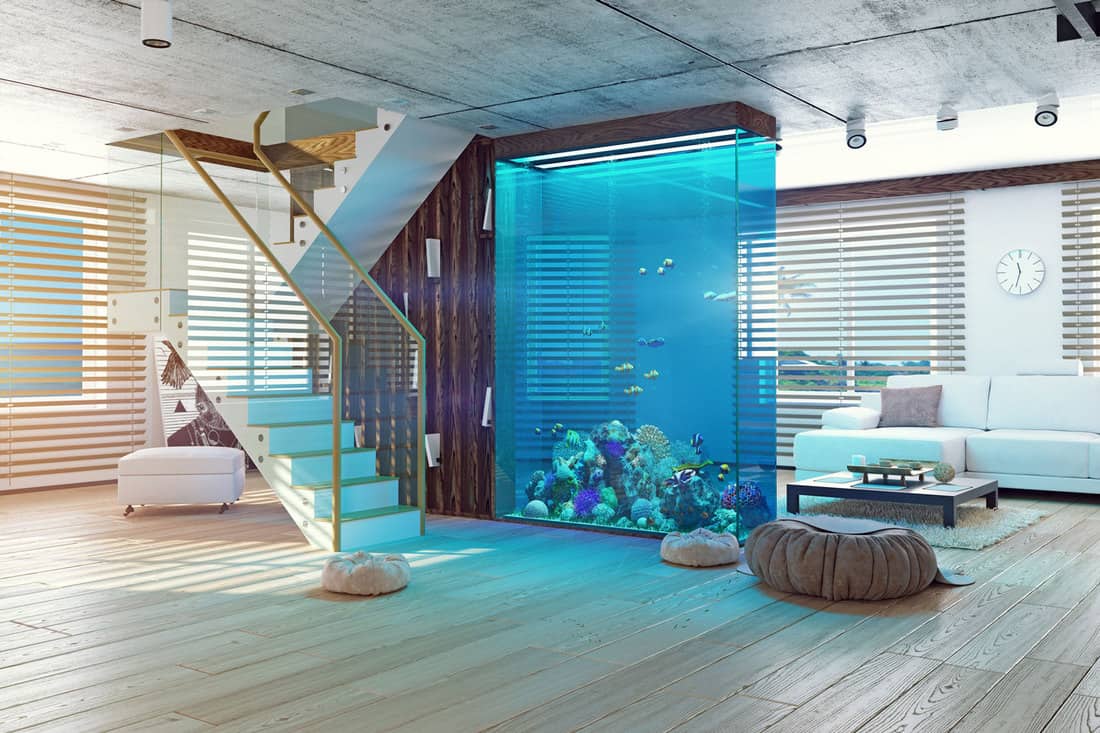 The modern loft interior with aquarium, How To Tell If Glass Is Tempered