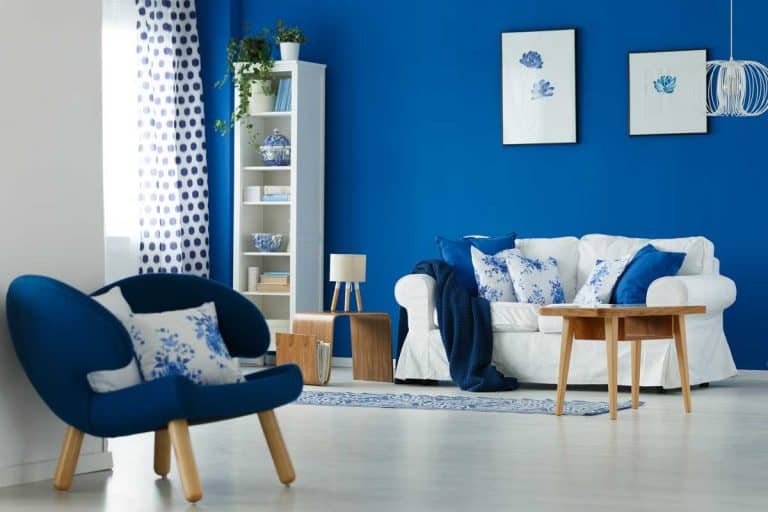 A trendy blue and white living room interior design, 9 Sofa Colors That Go With Blue Chairs