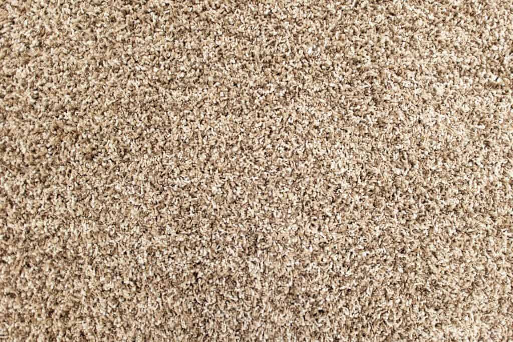 Up close and detailed photo of a beige carpet