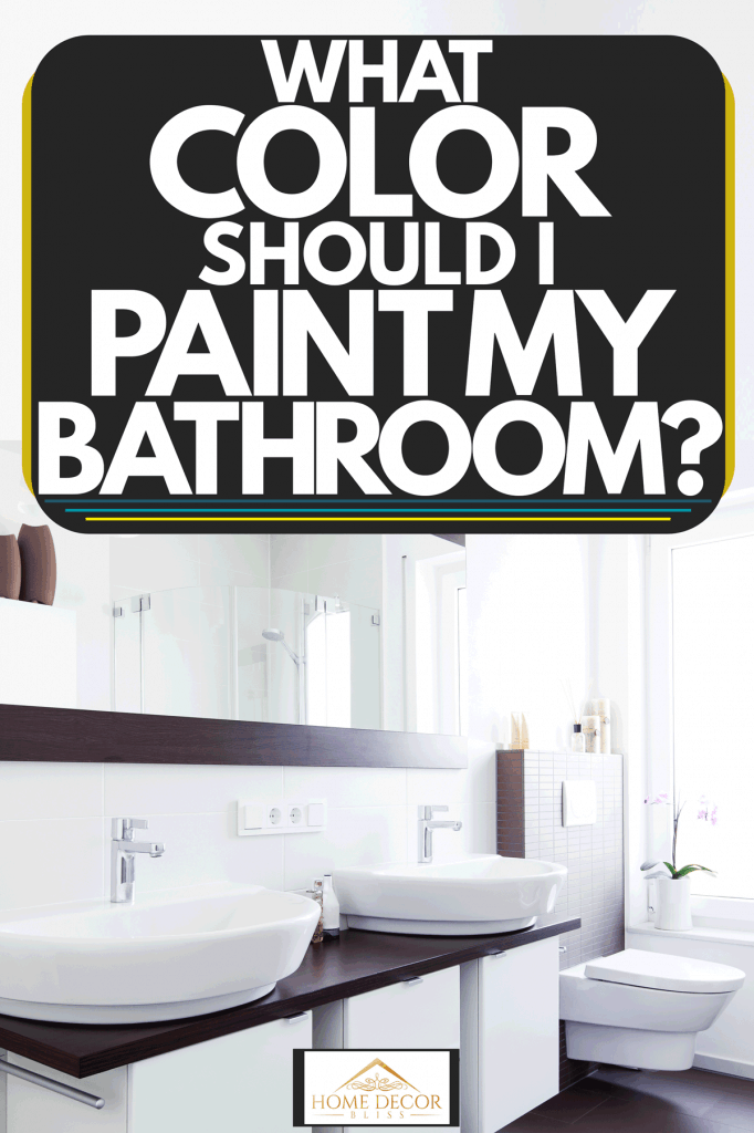 Une salle de bain moderne avec des murs peints en blanc, une vanité blanche et une petite plante d'intérieur à côté du miroir, De quelle couleur dois-je peindre ma salle de bain ?