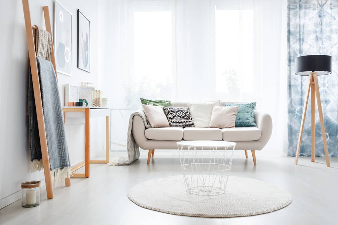 White round carpet in bright living room with lamp and ladder near sofa with pillows. bright and airy