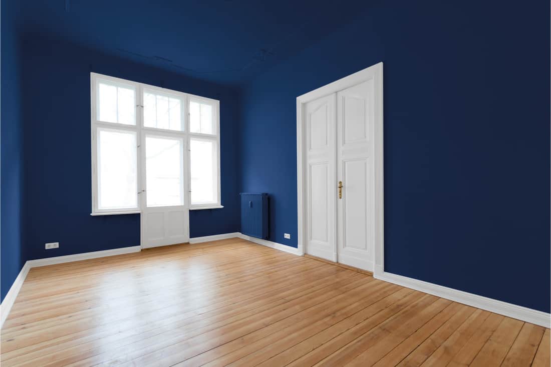 Beautiful empty room in blue color walls and ceiling
