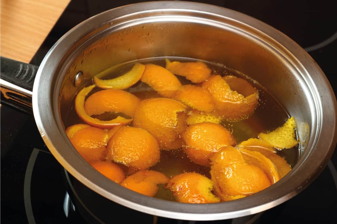 boiling orange peels in a stainless steel pot on a stove