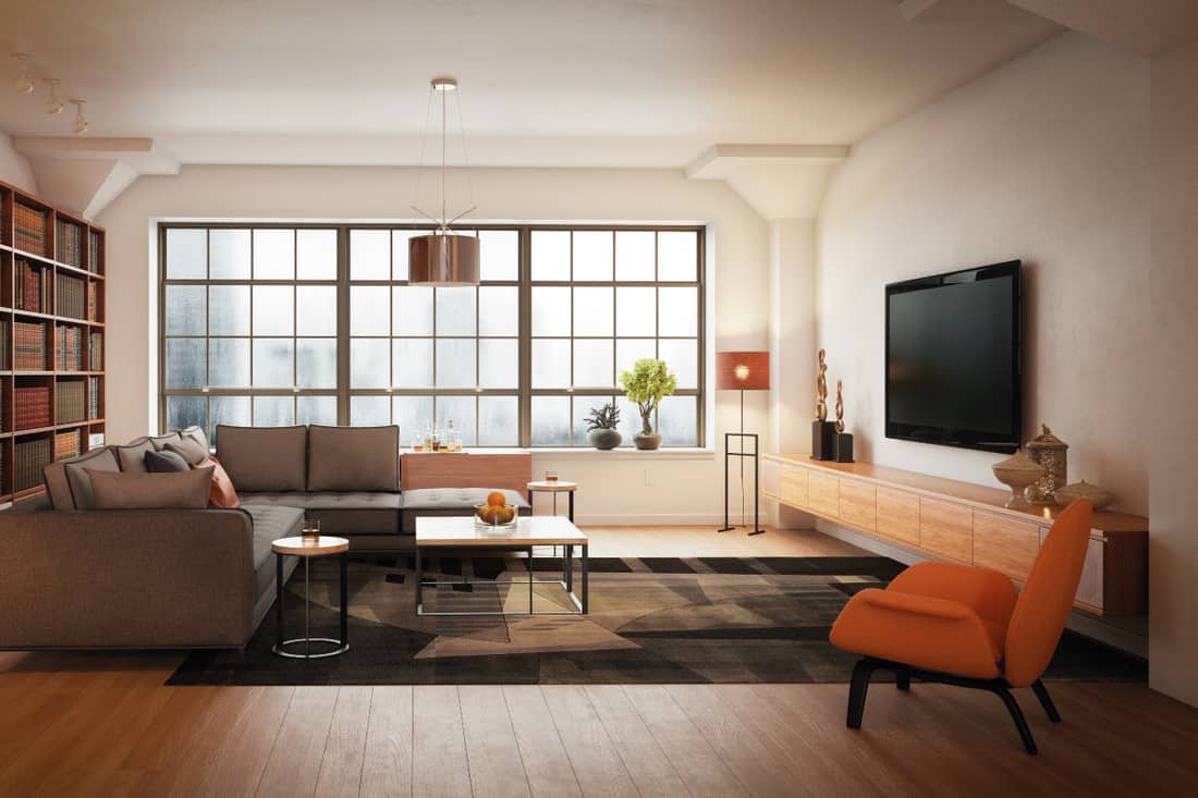 Elegant and modern loft interior scene living room, How To Clean An Area Rug On Hardwood Floor [8 Steps]