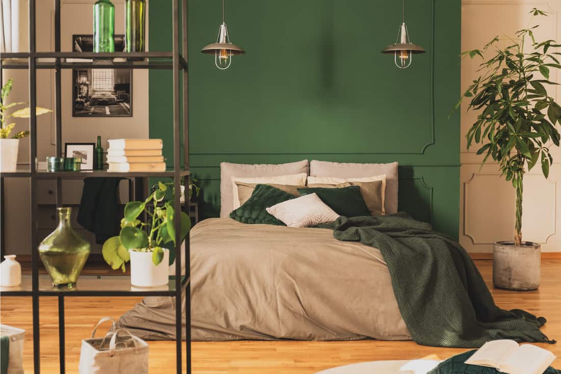 empty green wall of fashionable bedroom interior with warm bedding. verdant greenery. live plants inside a tan bedroom