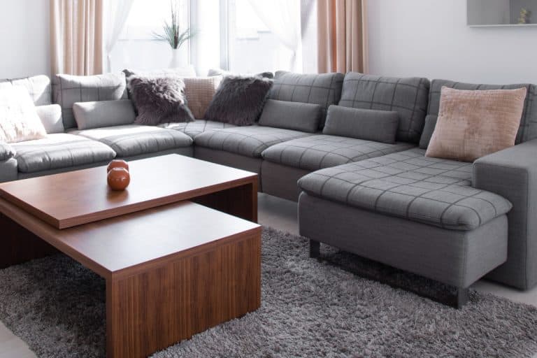 gray sofa and wooden coffee table on a gray carpet in a bright living room. What Color Couch Goes With Gray Carpet [7 Excellent Colors]