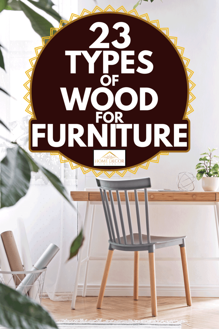 grey sofa, plants, bamboo bookstand and wooden desk. Brown wooden parquet. Nice apartment. 23 Types Of Wood For Furniture