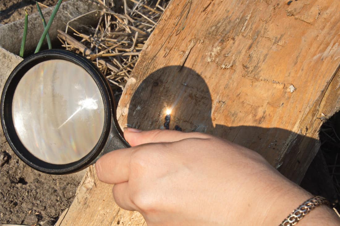 human hand holding a magnifying glass in order to apply heat to a piece of wood