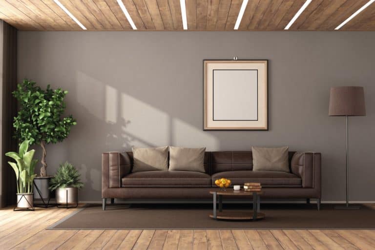 living room with brown leather sofa, large windows, indoor plants. What Accent Chairs Go With A Brown Sofa [7 Excellent Color Options]
