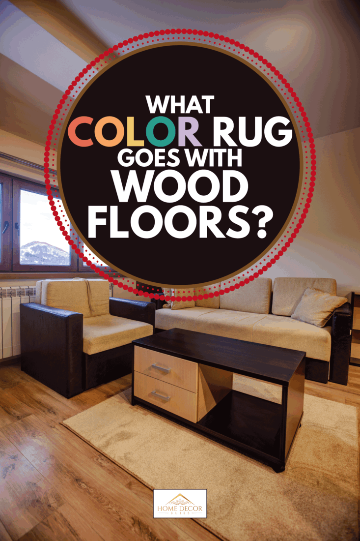What Color Rug Goes With Wood Floors, Best Area Rugs For Dark Hardwood Floors