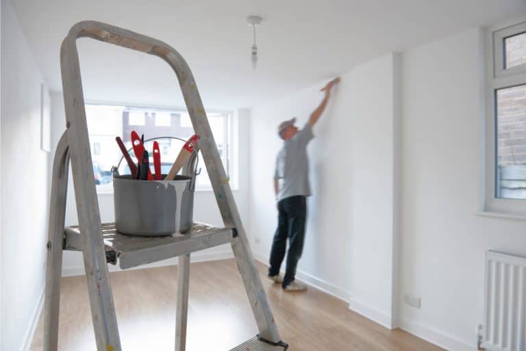 Painting tools in a bucket on top of a ladder and a man painting the ceiling, Should Ceiling Paint Be Flat Or Eggshell?