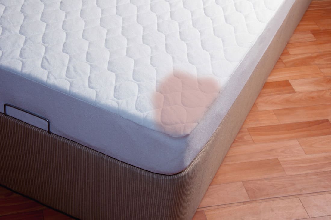 spring mattress with stains,How to Get Stains Out of Mattress [5 Methods]