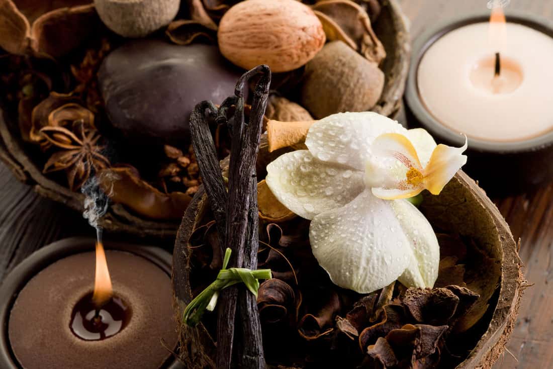 Une bougie parfumée boisée avec une fleur sur le dessus et une feuille noire, 9 types de parfums de bougies [And Other Important Things To Know!]
