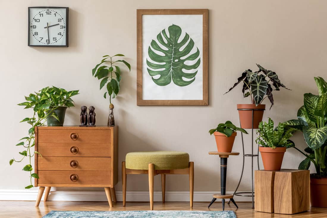 A living room filled with plants and wooden furnitures
