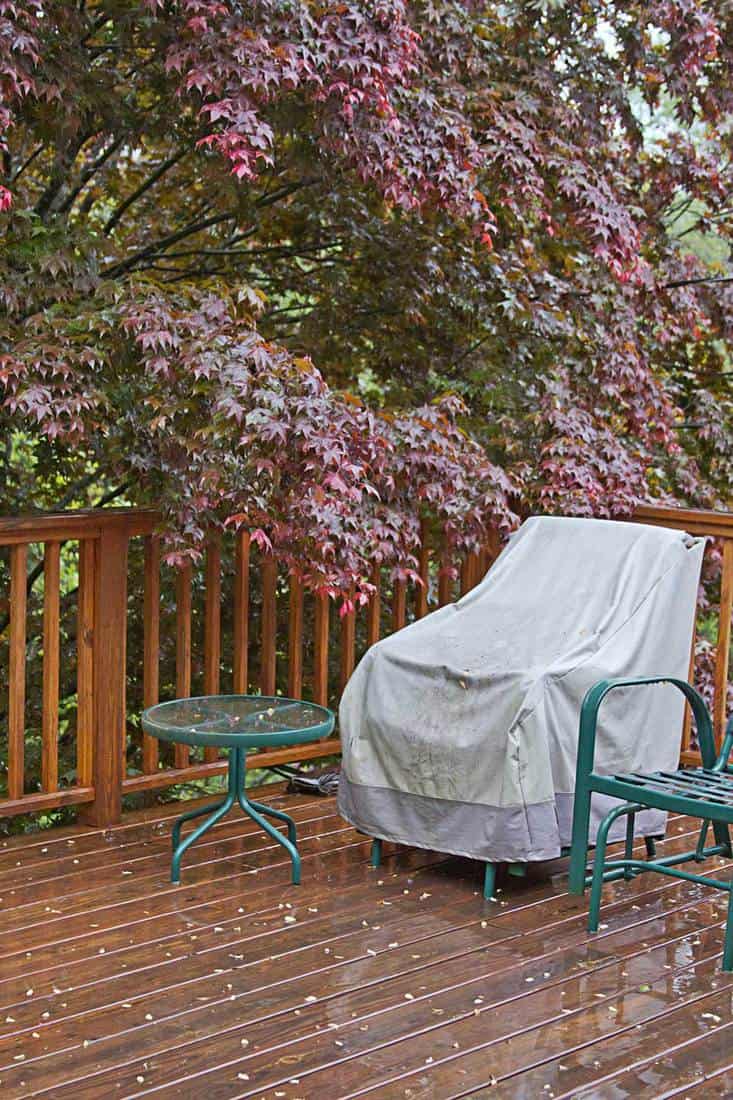 A rain wet wooden deck with a covered lawn chair and the drenched red canopy of a beautiful Japanese maple tree hanging and dripping over the railing in autumn