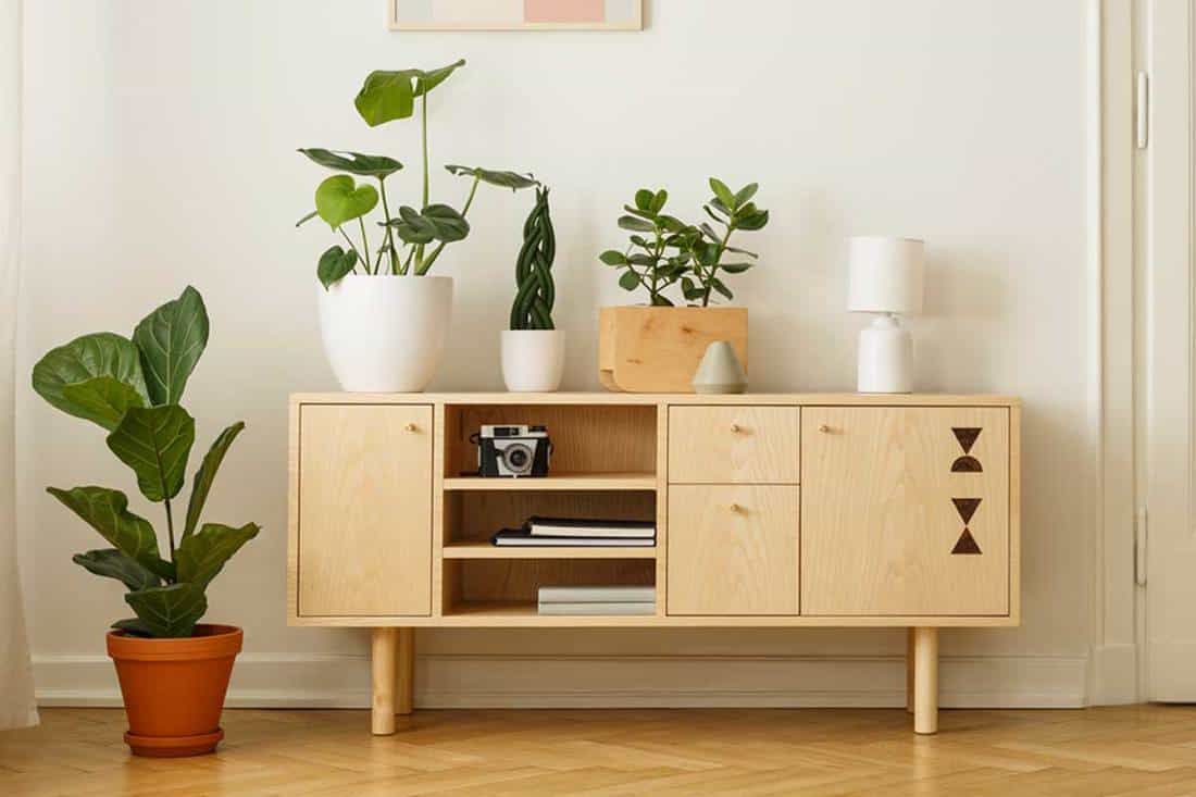 A retro style, wooden sideboard with green plants and a poster on a white wall in a simple apartment interior with herringbone hardwood floor, What Can You Use A Sideboard For? [7 Great Ideas!]