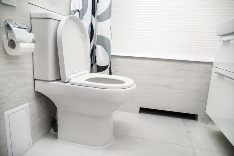 A white toilet inside a white and gray tiled bathroom, Do Toilets Have A Weight Limit?