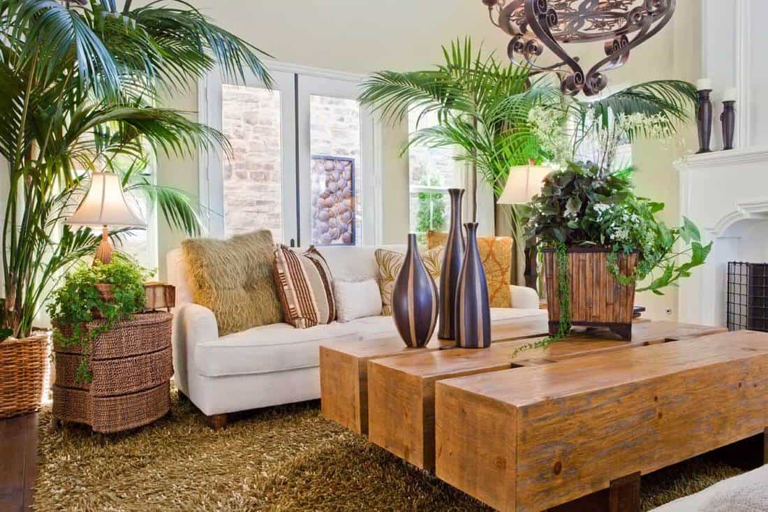 An overview of natural nature themed living room, How To Arrange Plants In Living Room [7 Amazing Suggestions!]