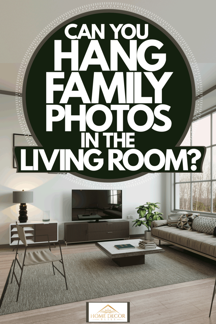 Interior of a modern living room with luxurious styled couches and a huge window, Can You Hang Family Photos In The Living Room?