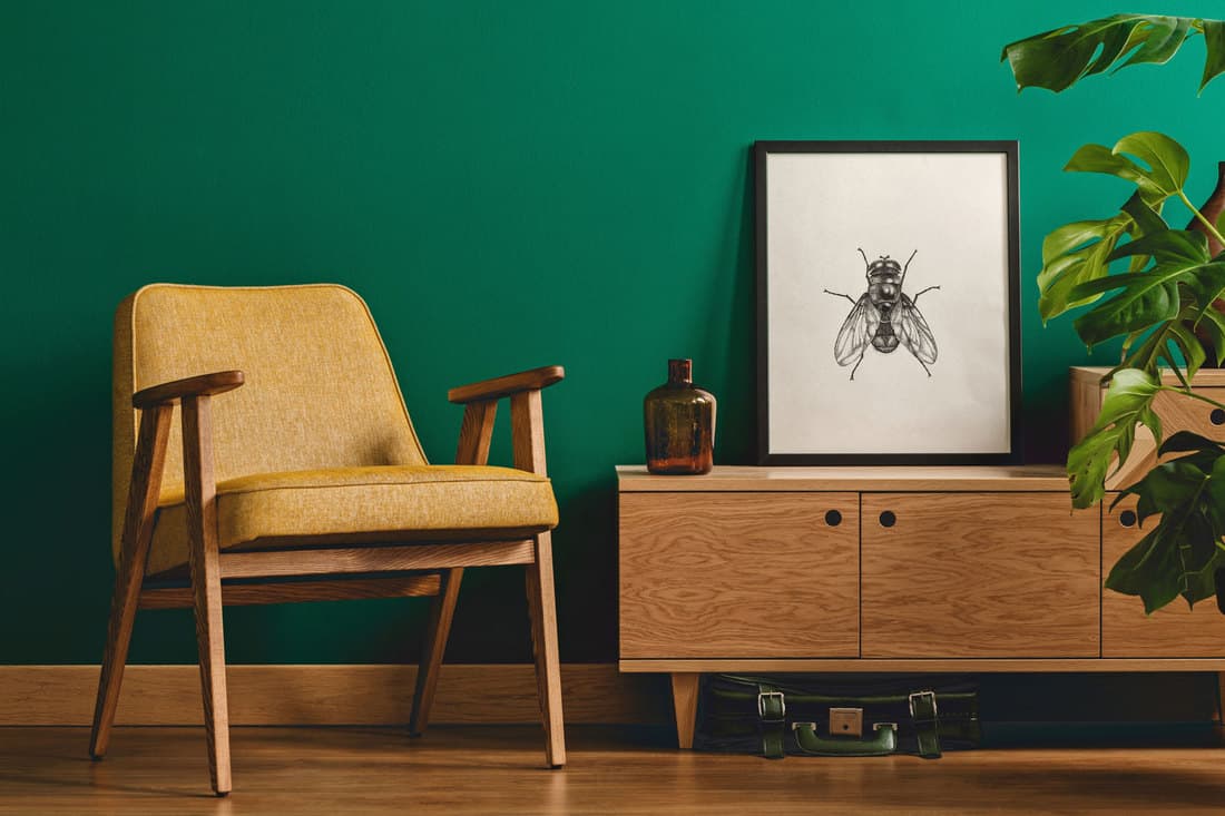 Classy minimalist living room interior with a framed insect poster on a wooden dresser, yellow leather armchair and monstera plant, How To Get A Cigarette Smell Out Of Leather Furniture [5 Methods]